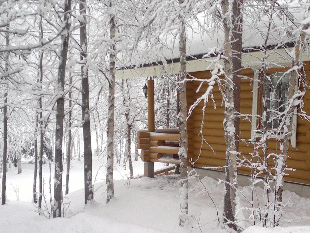 Hoviranta Tiainen Cottage Kültér fotó